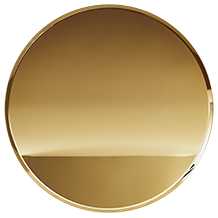 PG - Polished Gold - PVD